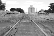 5th Feb 2025 - Rail line & silos
