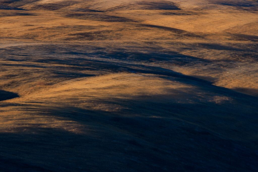 Sun and Shadow in the Morning by jyokota