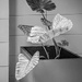 In the Corner by cocokinetic