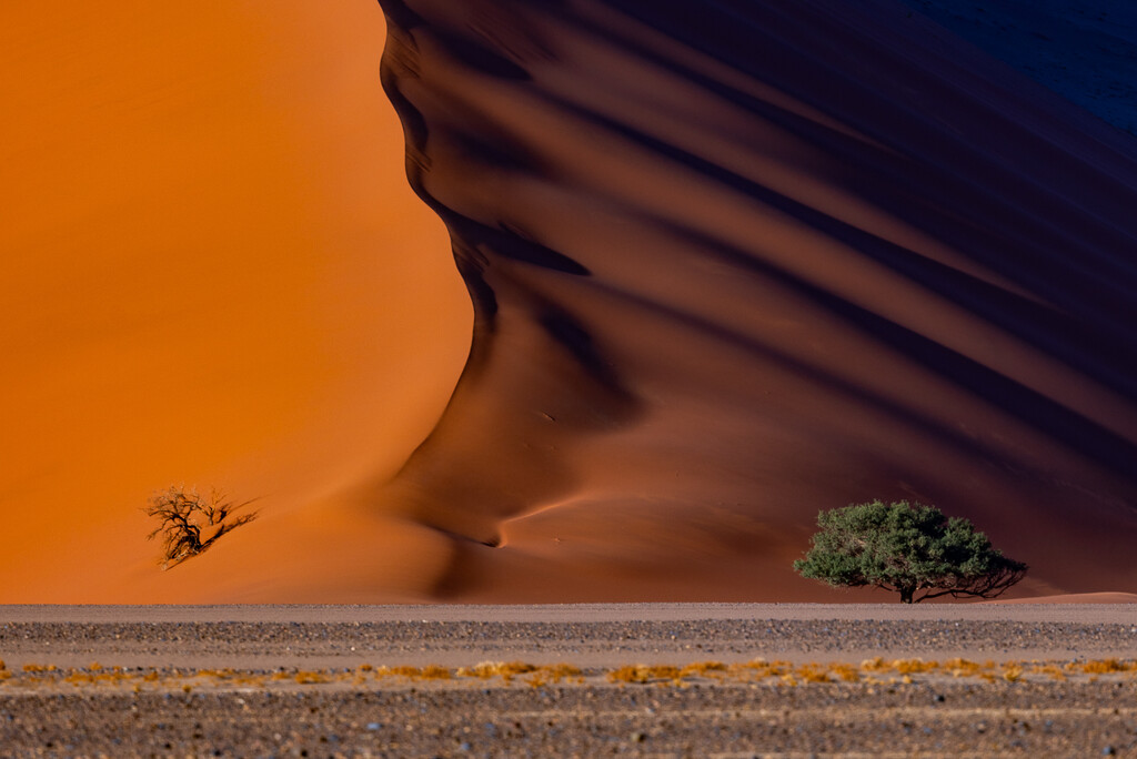 Light and Shadow in the Namib Desert by jyokota