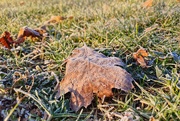 5th Feb 2025 - Cold winter morning