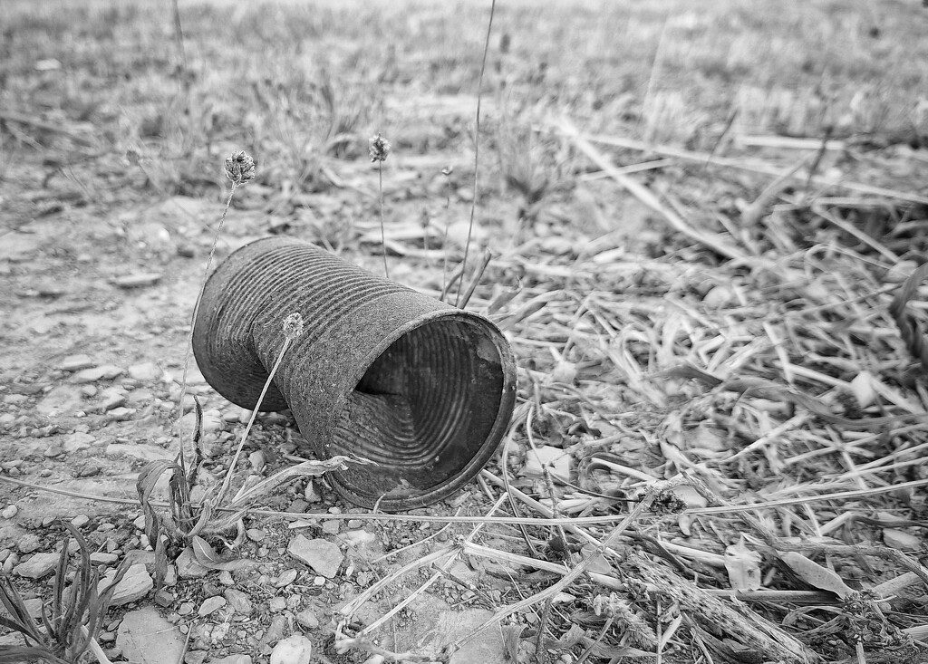 Rusted can by salza