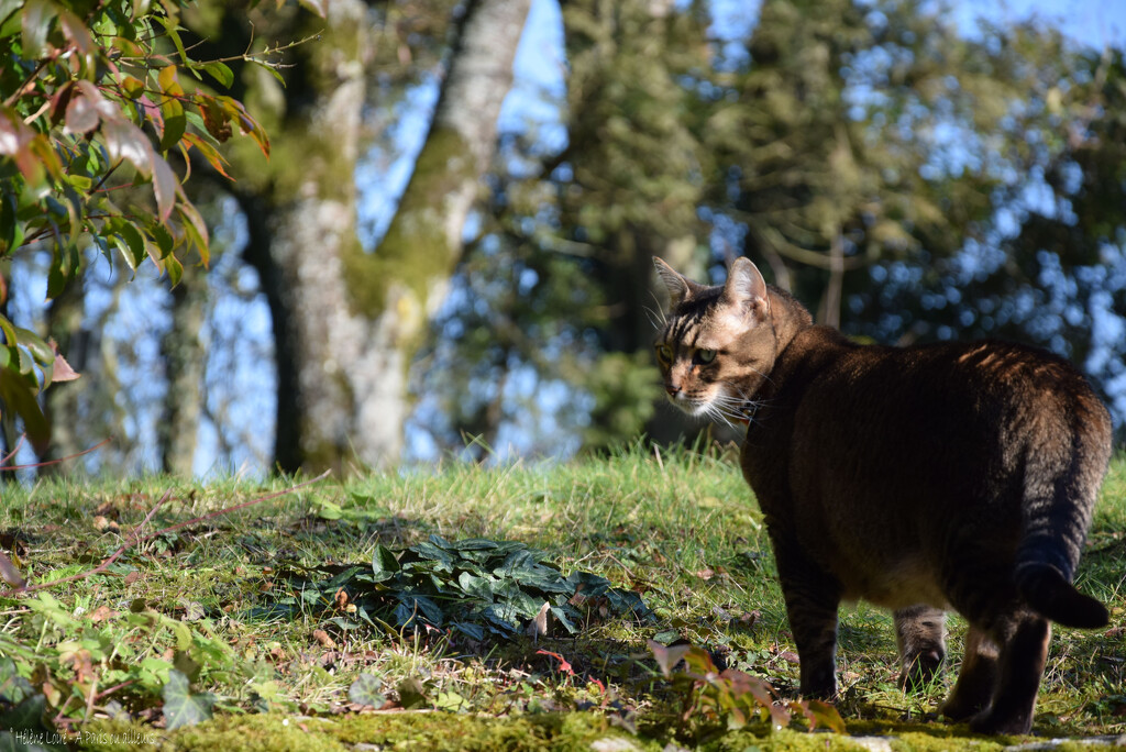 Happy Toulouse in the garden by parisouailleurs