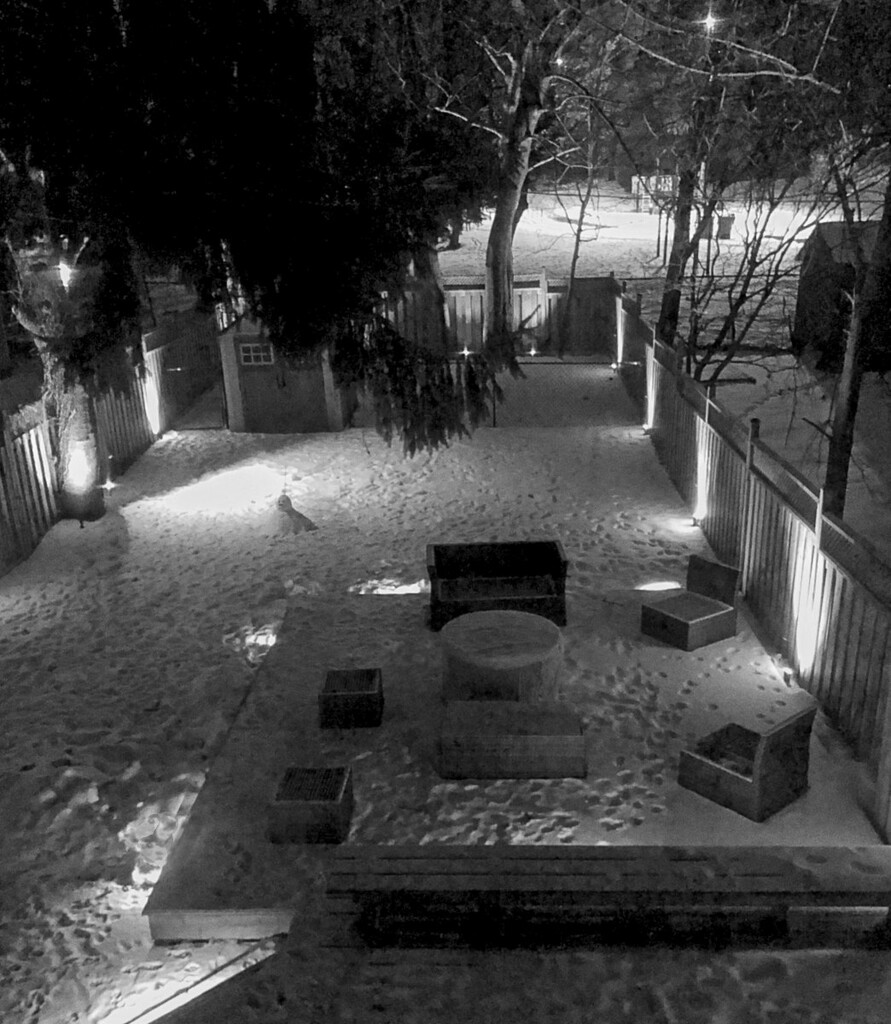 Winter Garden  by gardencat