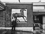 5th Feb 2025 - People and horse 