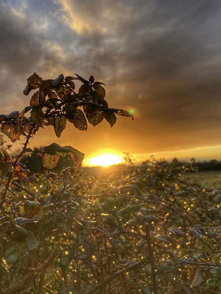 Warm Tones by cmf
