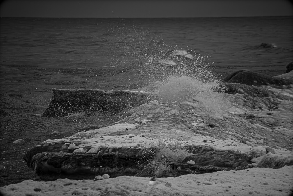 Splash by darchibald