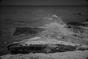 5th Feb 2025 - Splash