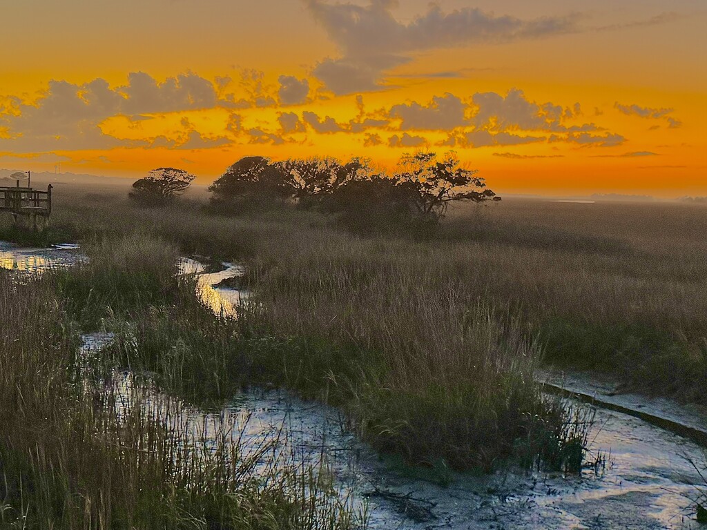 Marsh sunset (2) by congaree