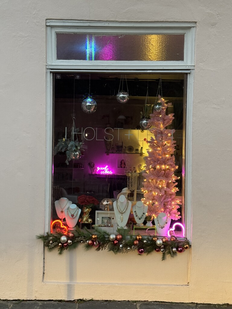 Shop window, Charleston historic district by congaree