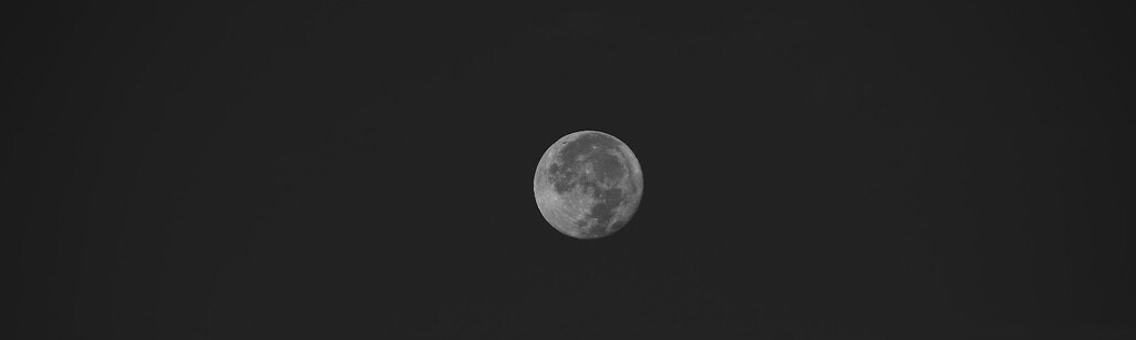moon by blueberry1222