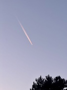 6th Feb 2025 - Barbie plane. 