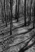 6th Feb 2025 - Pathway
