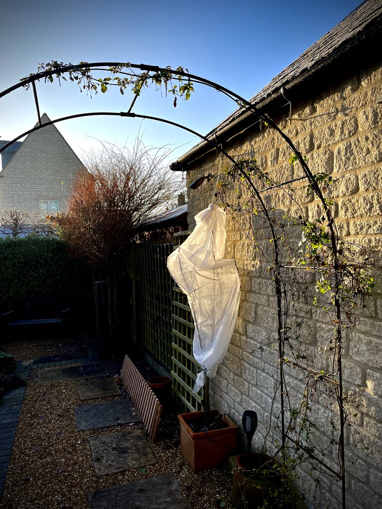 Ghost in the garden  by nigelrogers