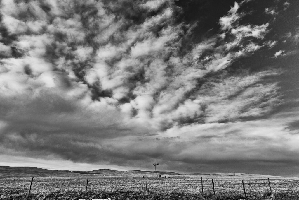 pasture by aecasey