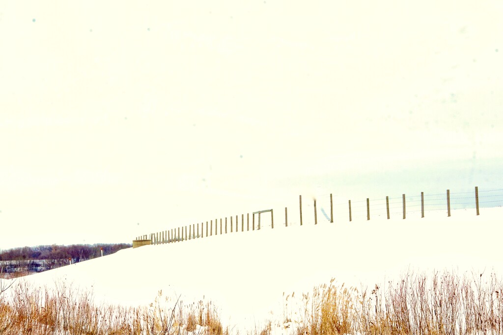 More Winter by ikik
