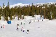 6th Feb 2025 - Skiing