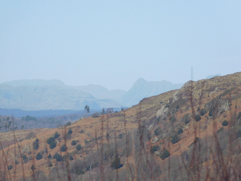 this is one of the Langdale Pikes by anniesue