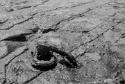 7th Feb 2025 - Decaying anchorage