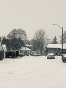 6th Feb 2025 - FOR6 - Out (to the End of the Street)
