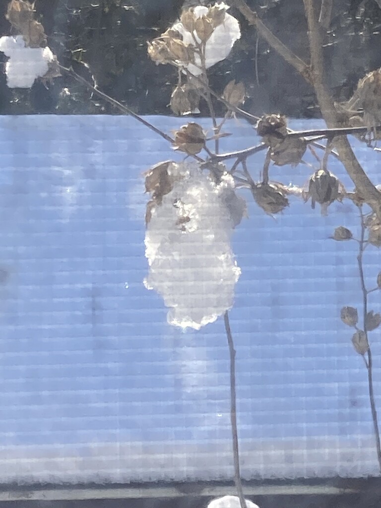 Outside My Window, Yet Again by spanishliz