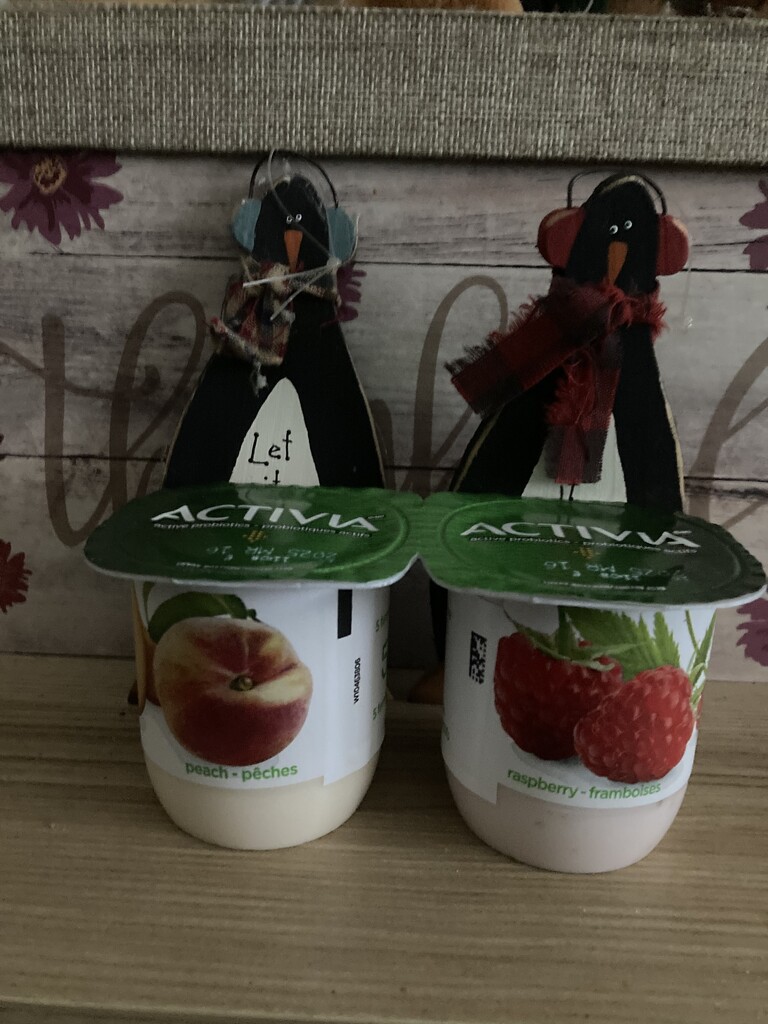 (Not) Frozen Yogurt Day by spanishliz