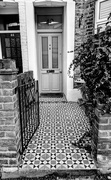 6th Feb 2025 - Pretty pathway 