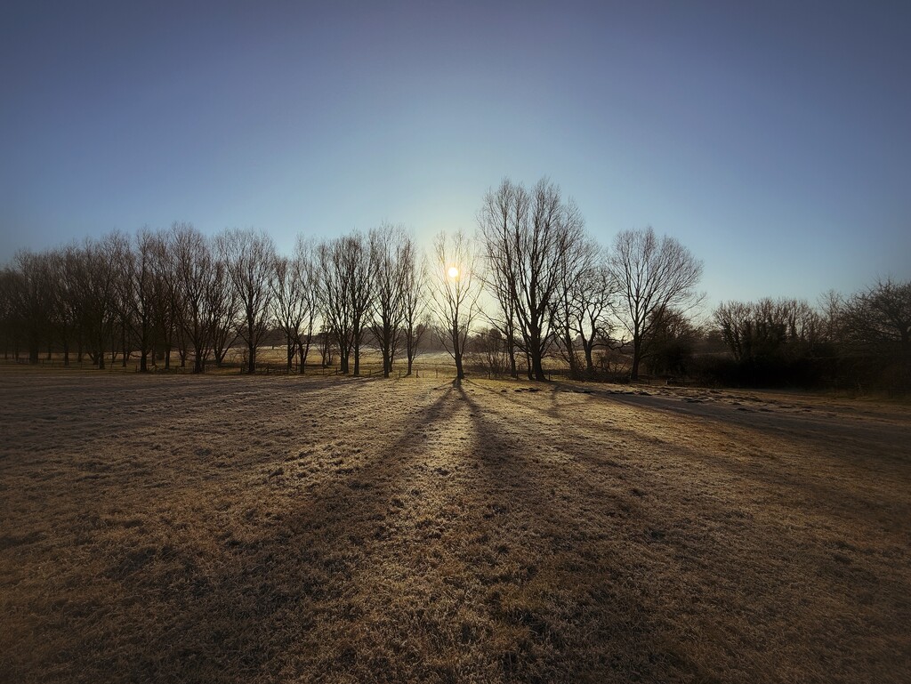 The Light by gaillambert