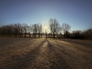 6th Feb 2025 - The Light