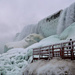 Winter Wonderland  by pdulis