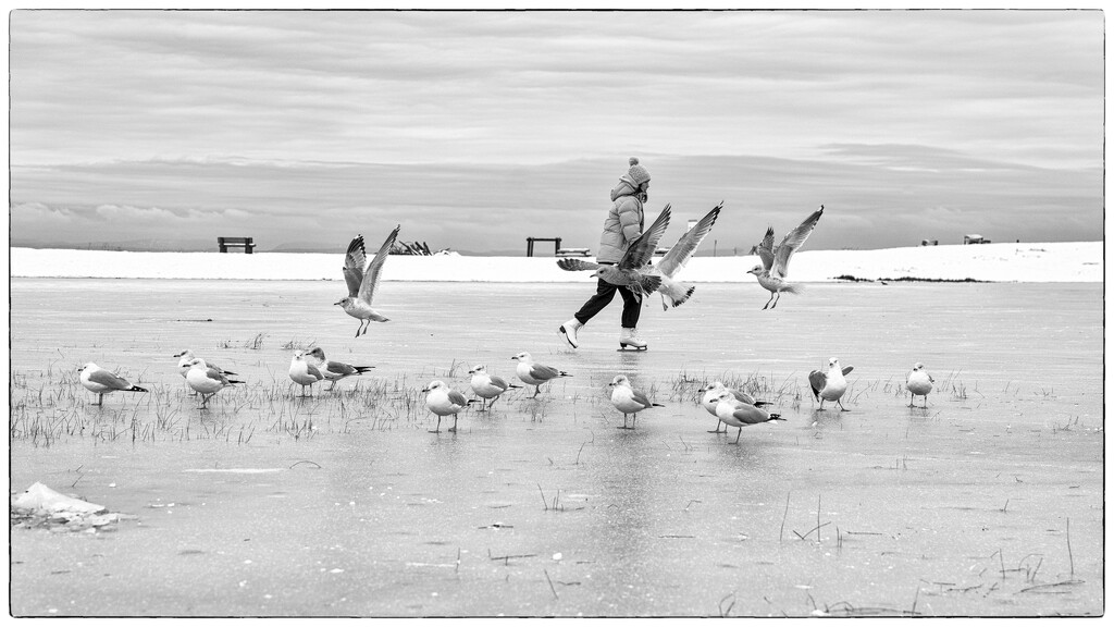On Frozen Pond - FOR Day 6 by cdcook48