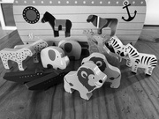 7th Feb 2025 - Noah’s Ark
