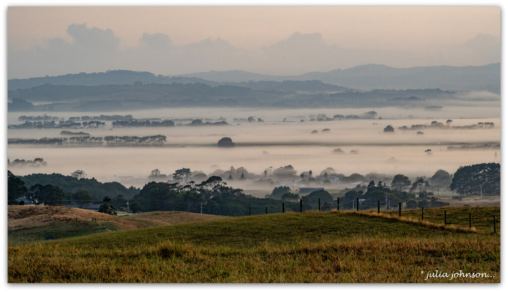 Misty on the Flats by julzmaioro