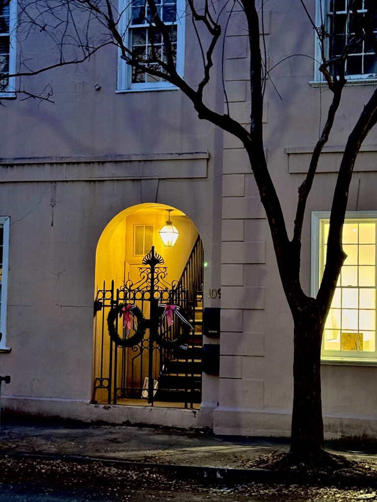 Charleston Historic District night scene by congaree