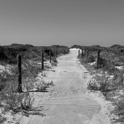 7th Feb 2025 - A Path To The Beach IMG_3588