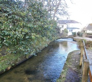 4th Feb 2025 - One of Truro's rivers......
