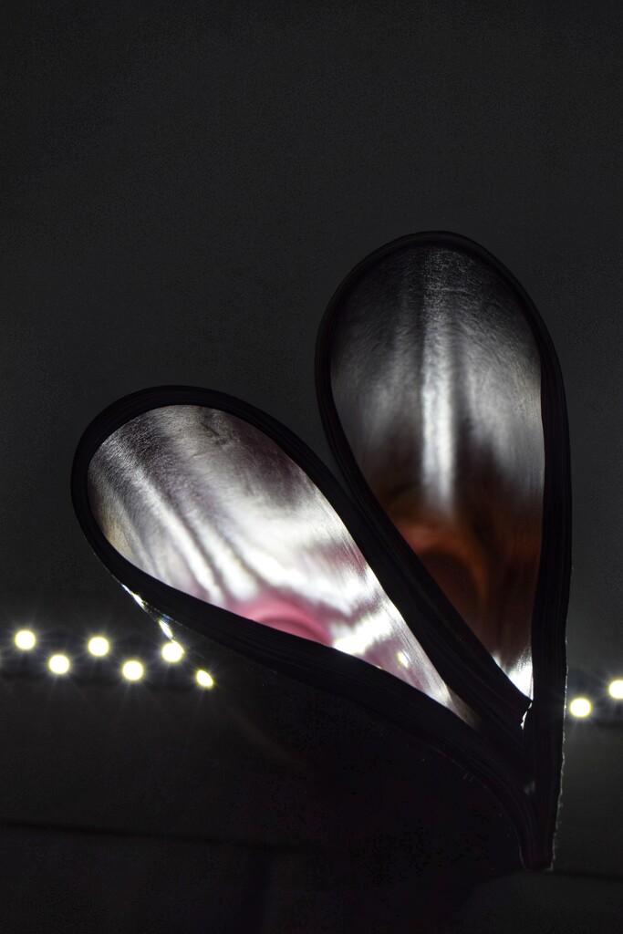 Light heart by dragey74