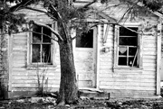 7th Feb 2025 - No One Home - FOR2025