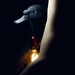 Old friend Black Swan. by aleksandra_julia