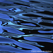 2nd Feb 2025 - Blue Hues