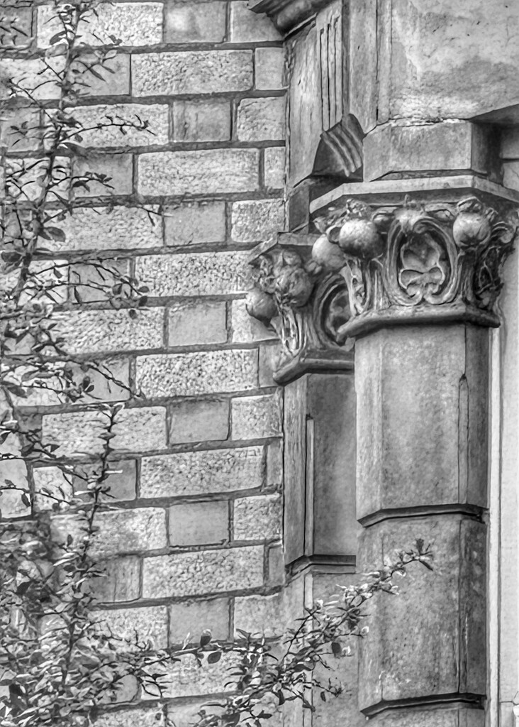 Victorian detail by thistle_01