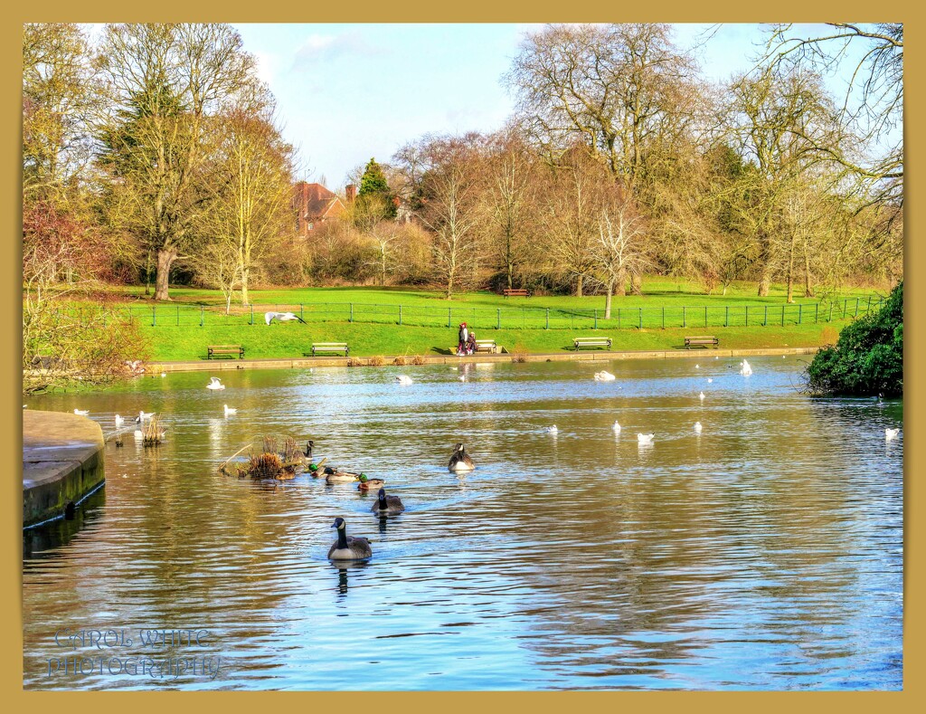 Lake View by carolmw