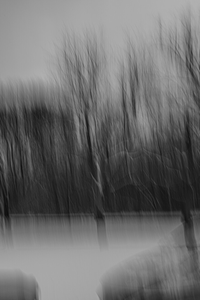 And the Dark Forest beckoned by darchibald
