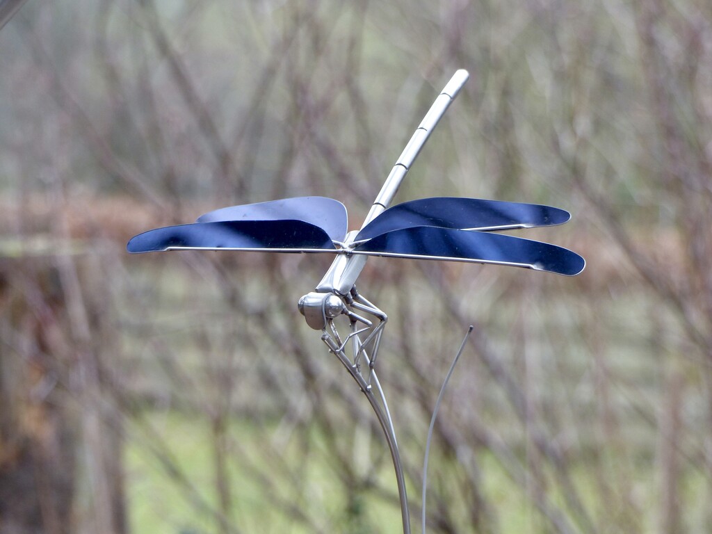 Dragonfly Sculpture by susiemc
