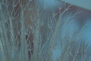 5th Feb 2025 - Sculpture 