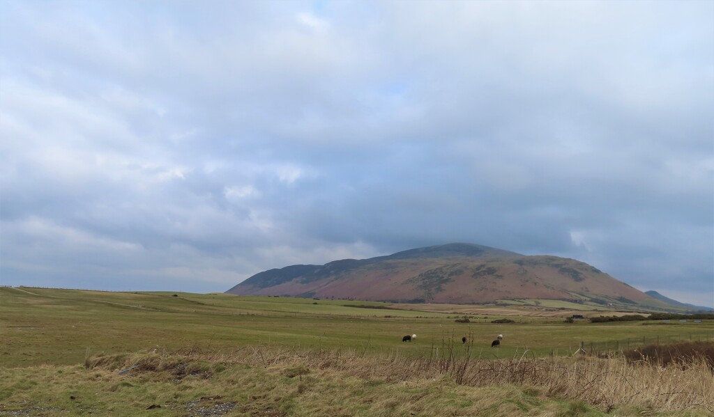 Black Combe  by countrylassie