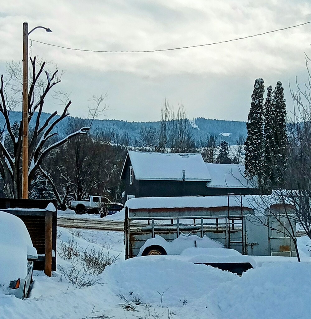 Stock Trailer - Color version  by bjywamer