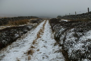 8th Feb 2025 - saturday puddingthorne