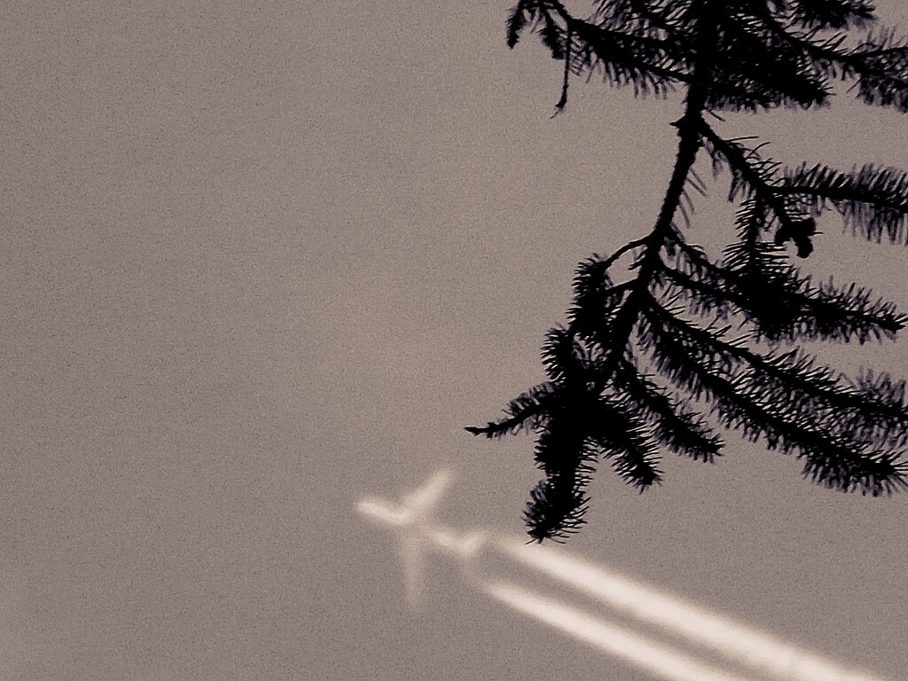 Another Near Miss by ajisaac