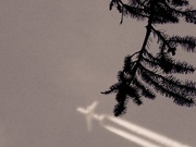 26th Jan 2025 - Another Near Miss